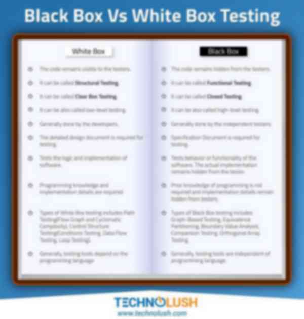 Black Box Vs White Box Testing