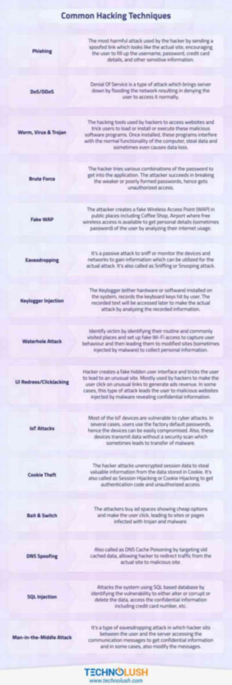 Common Hacking Techniques